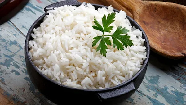 خرید و قیمت برنج چمپا اصل + فروش عمده